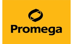 Logo PROMEGA