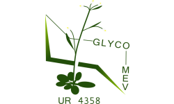 Logo GLYCOMEV