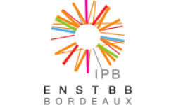 Logo ENSTBB-BORDEAUX INP