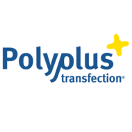 polyplustransfection